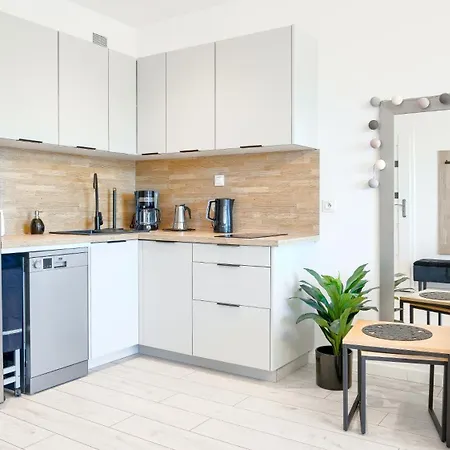 Pelikan, Sun & Snow * 里沃